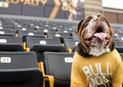 — Woof, Woof — Adrian College mascot history is a mystery